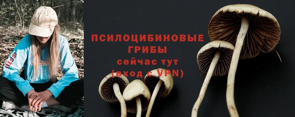 а пвп мука Володарск