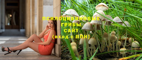 Альфа ПВП Вязьма