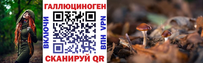 Псилоцибиновые грибы прущие грибы  Купить  Темрюк 